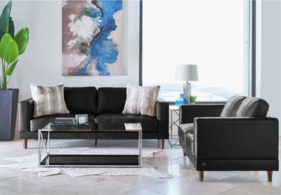 Furniture of America - Theodora Sofa and Loveseat Set in Black -  SM7505-SF-LV