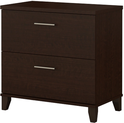 Braunstein 2-Drawer Vertical Filing Cabinet Loon Peak Color: Black Adler