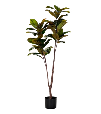 ITEM Planta Magnolia con maceta artificial - El Palacio de Hierro